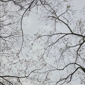 Meet your Posher, Mae